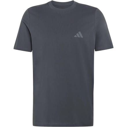Adidas Terrex Terrex Mountain Graphic T-Shirt - Heren - Grijs