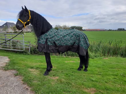 Regendeken luxe 0gram met fleece voering Green/swirl-165