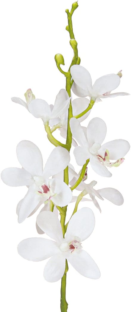 Kunstmatige orchideeën witte bloesem Ø3,5–5 cm L38 cm 2 stuks, 2 Stück