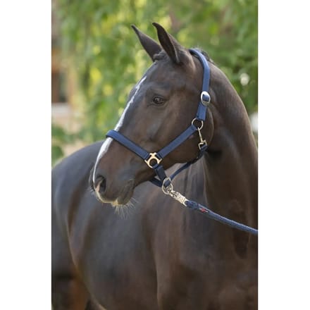Halster voor paarden Covalliero Doria