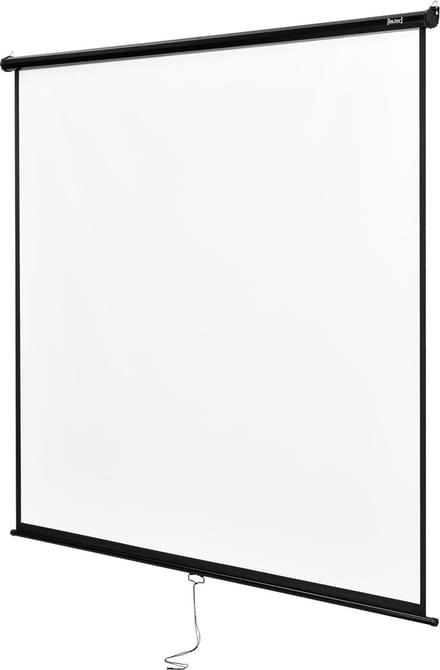 Projectiescherm wit en zwart 203x203 cm 113"