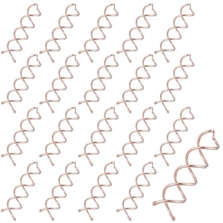 Pack van 20 Spiral Haarclips voor Diverse Haardrachten