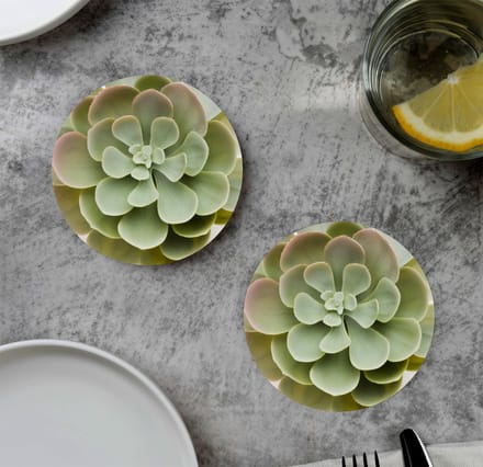 GR onderzetters voor glazen - Cactus - Soft - Vinyl - 6st