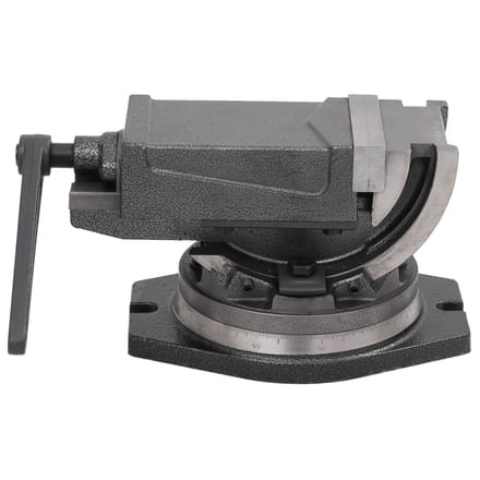 vidaXL - Bankschroef - met - 2 - assen - kantelbaar - 100 - mm
