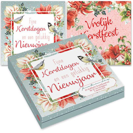 Janneke Brinkman kerstkaartenmapje - Boomklever & Koolmees - Rode kardinaal roze