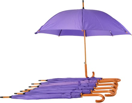 Paraplu 8 stuks - Set van 8 Paarse Paraplu's - Automatisch Uitklapbaar - Ø 98 cm Paraplu met Houten Handvat - Windproof - Waterdicht