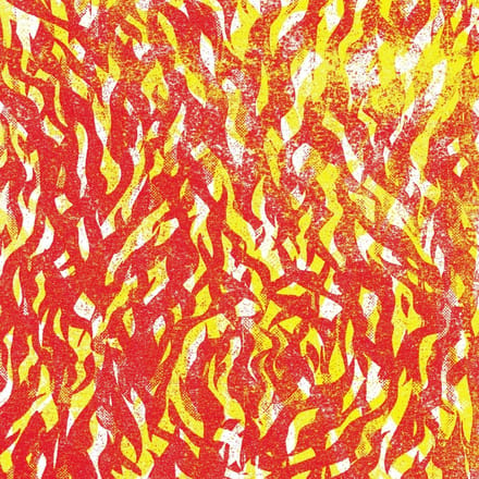 The Bug - Fire (CD)