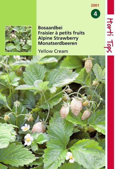 2 stuks - Hortitops - Aardbeien Yellow Cream