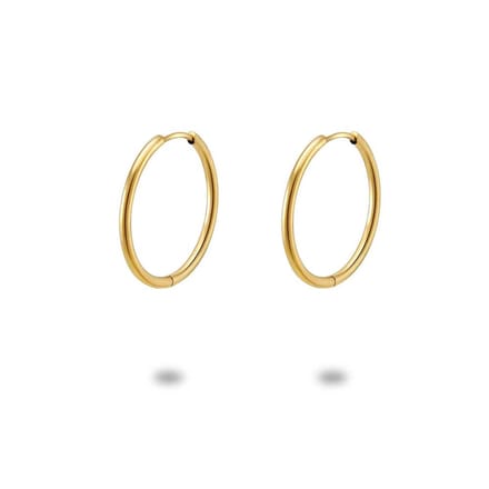 Twice As Nice Oorbellen in goudkleurig edelstaal, oorring 20 mm