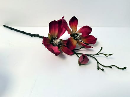 Magnolia - Tak - Decoratie - Bloemtak - Kunststof - Rood - 50cm - Pure