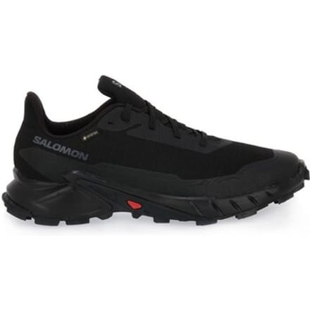 Hardloopschoenen Salomon Alphacross 5 Gtx