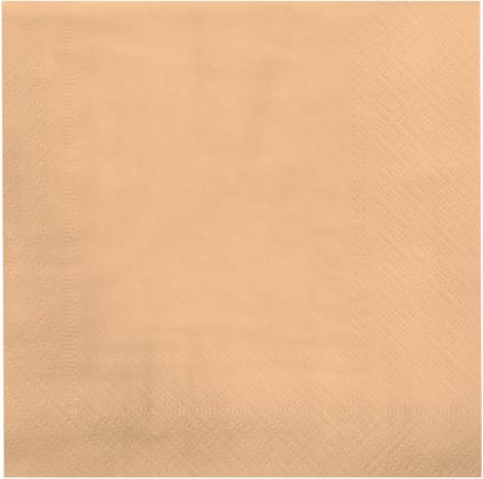 Servetten - papier - pastel oranje, 16,5x16,5cm - Feestjecreatief