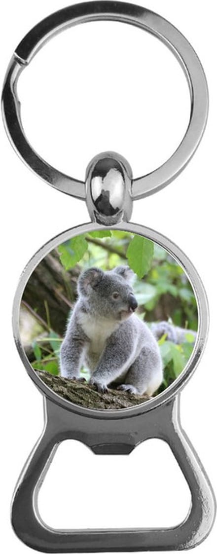 Bieropener Glas - Koala