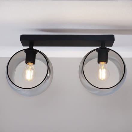 Plafondlamp met rond smoke glas, 2-lichts - Orbitique