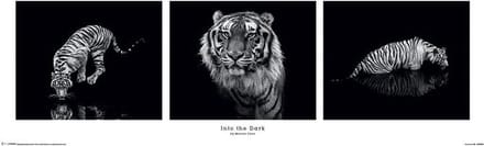 Marina Cano Into The Dark Poster 30.5x91.5cm