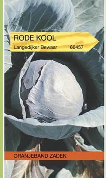 OBZ 660457 Rode Kool Langedijker Bewaar 2