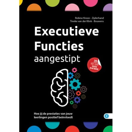 Executieve Functies Aangestipt - Hoe Dan? Serie - Tineke van der Klink-Bouwens