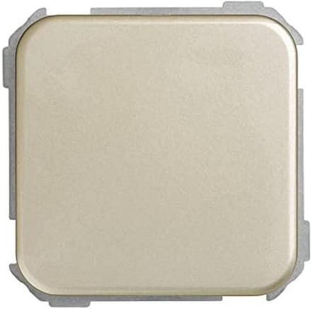 Blind Plaat - Afdekplaat Schakelaar - Muur Afwerken - Eenvoudige Installatie - 64 x 65 mm - Champagne