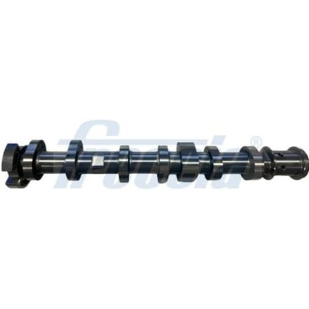 Nokkenas  FRECCIA CM05-2446