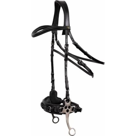 Anatomische hoofdstellen BR Equitation Lydney