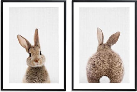 No Filter Poster - Konijn - Kinderkamer Dieren – 2 stuks - 21x30 cm