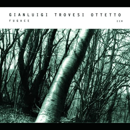 Gianluigi Trovesi Octet - Fugace (CD)