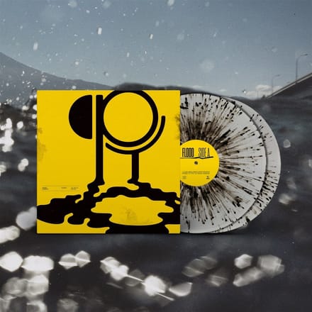 Hippo Campus - Flood (2 LP) (Coloured Vinyl)