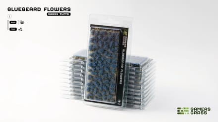 Bluebeard Flowers