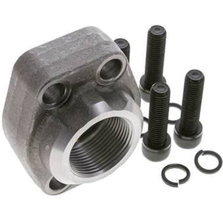 1-1/2'' SAE Flens 3000 psi Blank staal met G1-1/4'' Binnendraad ISO 6162-1