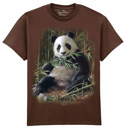 Bamboo Panda The Coloured House T-shirt L