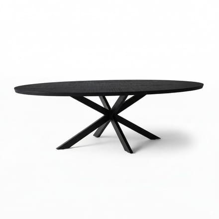 Sfeerwonen Enzo - Eettafel - Ovaal – 200x100 cm – Mangohout – Zwart – Matrix Onderstel