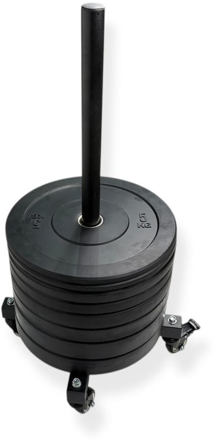 Padisport Movable Vertical Plate Rack Met Bumper Plates - Halterrek