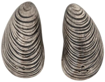 Mossel peper- en zoutstel – Batela