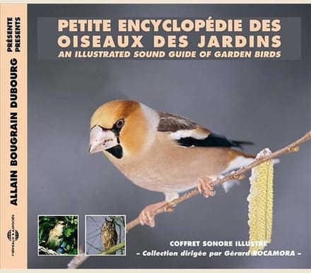 Allain Bougrain Dubourg, Gérard Rocamora - Petite Encyclopédie Des Oiseaux Des Jardins (2 CD)