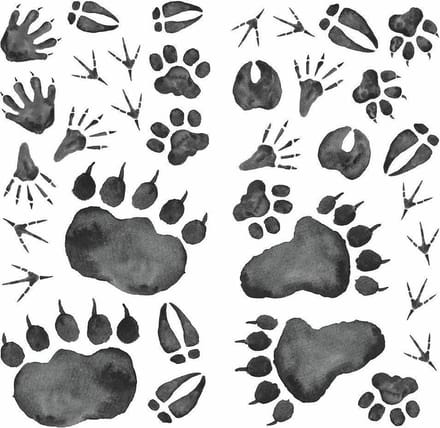 Roommates Muurstickers Animal Tracks Vinyl 70 Stuks