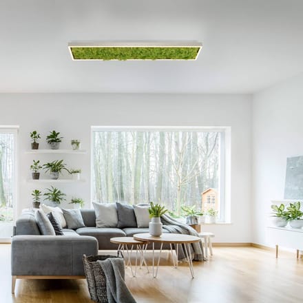 JUST LIGHT. GmbH LED plafondlamp Gerda Knut met echt mos