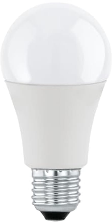 Dimbare E27 LED-lamp Warm Wit 11 Watt - Edison Stijl, 1055 Lumen, Opal Glas, 3000 Kelvin
