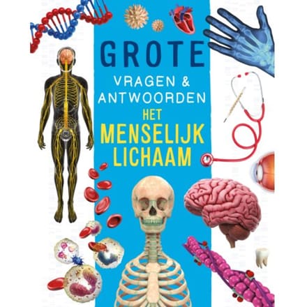 Het Menselijk Lichaam - Grote Vragen & Antwoorden - Nicola Deschamps