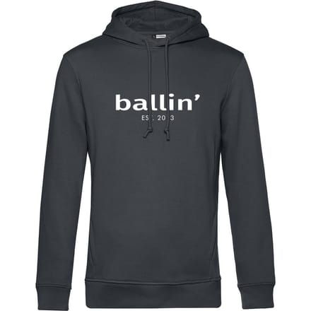 Heren Hoodies met Ballin Est. 2013 Basic Hoodie Print - Grijs - Maat L