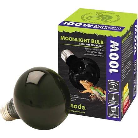 Terrarium lamp Komodo Nightglow Spot