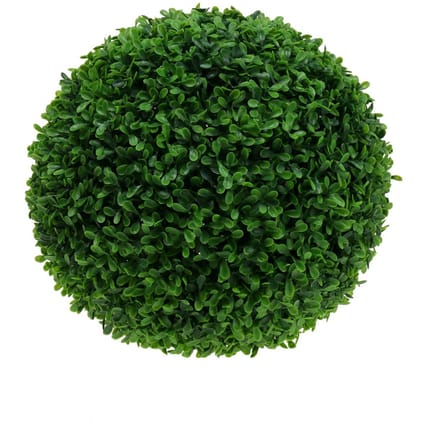 Buxus bol groen Ø25cm