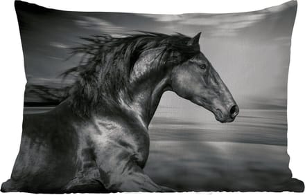Buitenkussens - Paard - Dieren - zwart - Wit - 60x40 cm - Weerbestendig