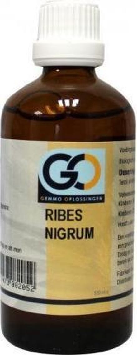 Go Ribes Nigrum