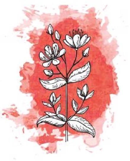 25x Hyper. - rood 50cm