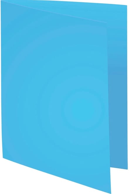 Exacompta 10x FOREVER 170 - Pak van 10 dossiermappen 170g/m2- 24x32cm voor A4. - Geassorteerd - 420100E