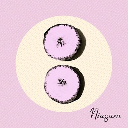 Niagara - Otto (CD)