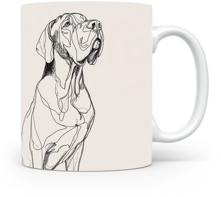 Beker Fila Brasileiro
