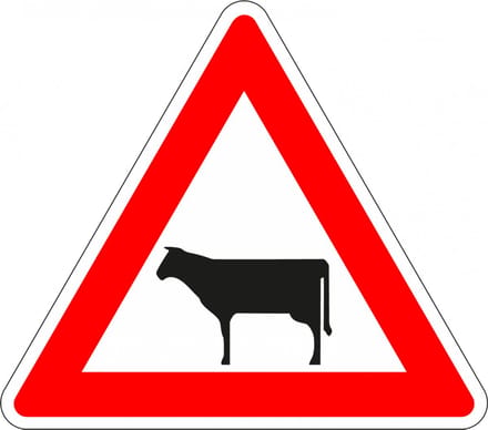 Pas op overstekend vee bord, kunststof, J28 400 mm