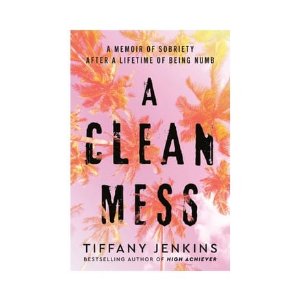 A Clean Mess - Tiffany Jenkins