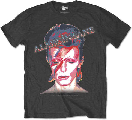 David Bowie - Aladdin Sane Heren T-shirt - 2XL - Grijs